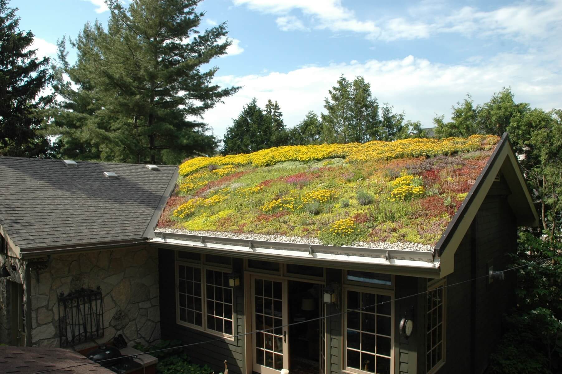 eco green roofs